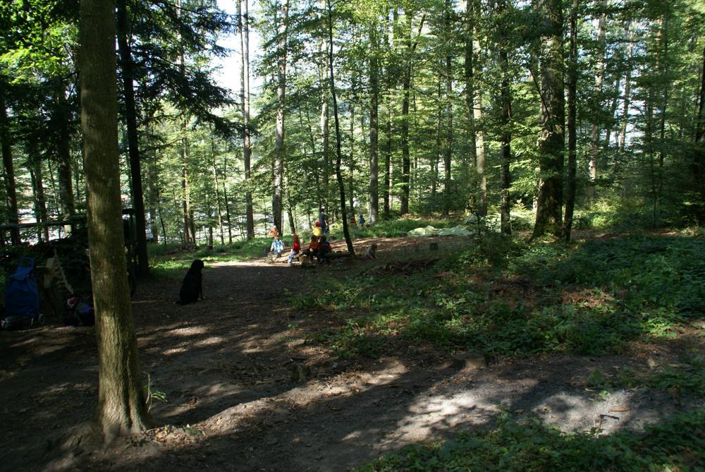 Bild 1: Böimige Waldspielgruppe in Worb BE