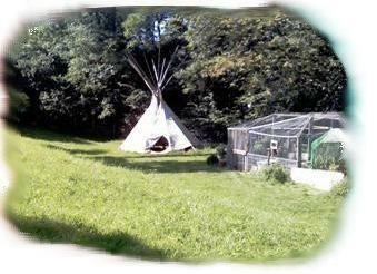 Bild 1: Naturspielgruppe / Naturschule Bubendorf in Basel-Land