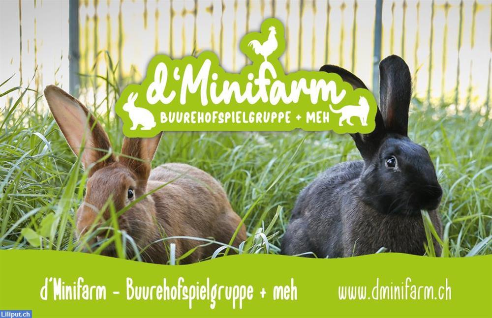 D"Minifarm Buurehofspielgruppe + meh in Sommeri im Thurgau