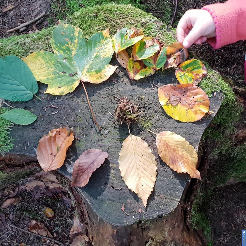 Bild 4: Waldspielgruppe im Limmattal "Schnäggähüsli" Schlieren