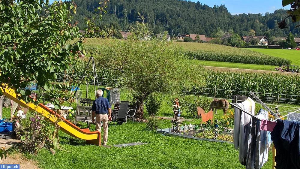 Bild 1: Kindergeburtstage auf unserem Ponyhof im Zürcher Oberland