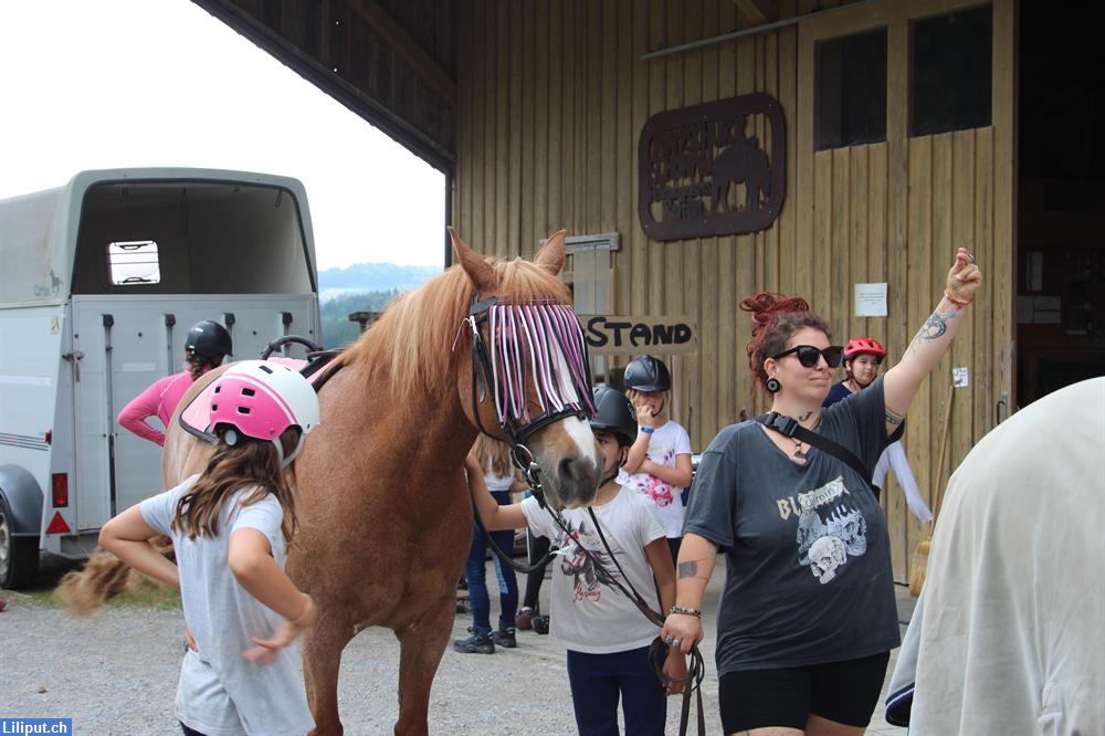 Bild 3: Kindergeburtstage auf unserem Ponyhof im Zürcher Oberland