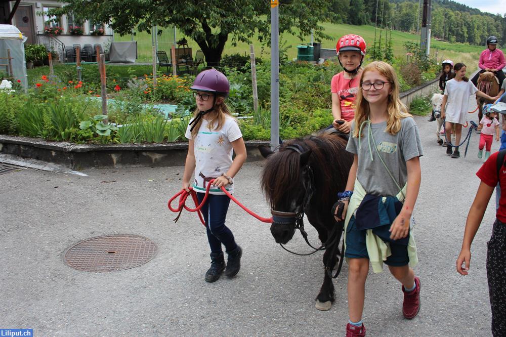 Bild 5: Kindergeburtstage auf unserem Ponyhof im Zürcher Oberland
