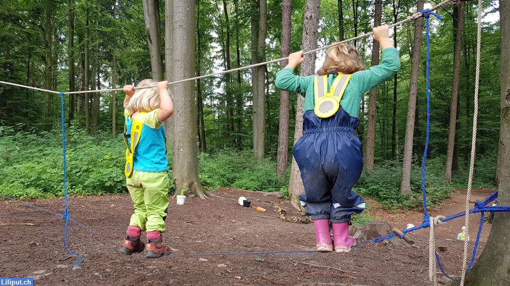 Bild 4: Erlebnis- Natur- und Waldspielgruppe Wurzelstufe, Käferberg/Waidberg Zürich