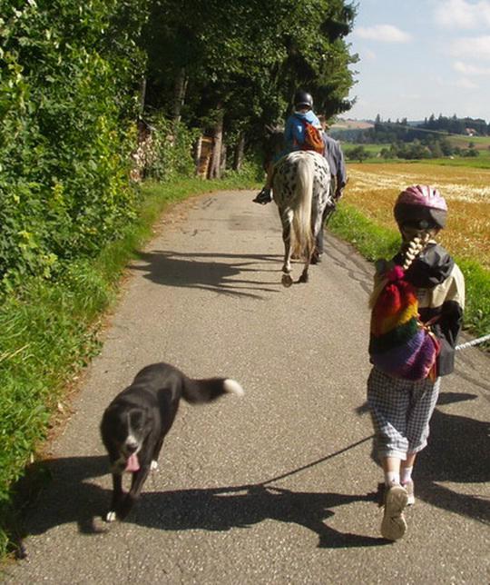 Bild 3: Geburtstagsfeier mit geführtem Reiten