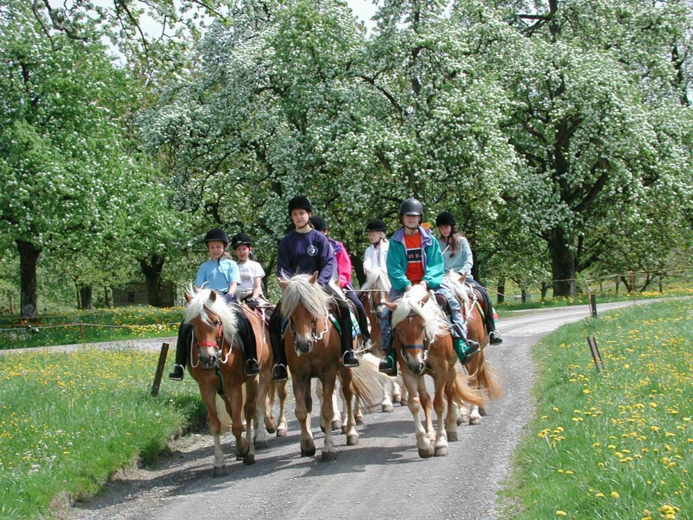 Bild 2: Tannacker Bauernhof, Reitferien für Kinder und Jugendliche