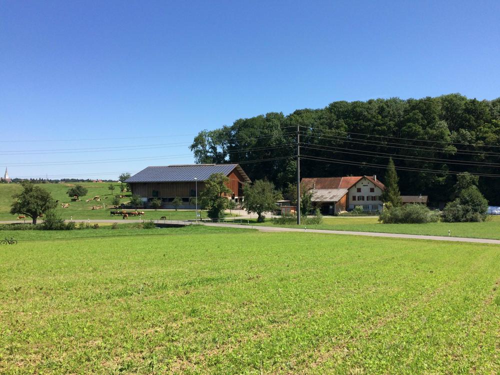 Bild 4: Bauernhof KiTa Chälbliland in Amriswil im Thurgau