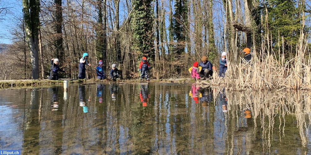 Kita Waldmuus, Rüschlikon ZH, das Walderlebnis für Ihr Kind