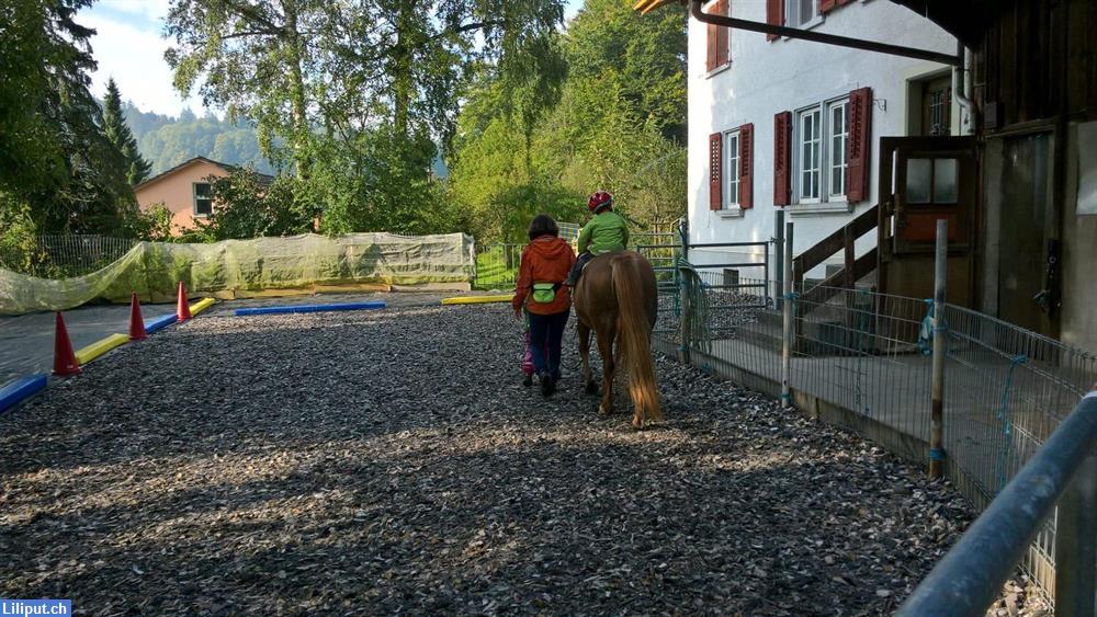 Bild 4: Bauernhofspielgruppe in Ammerswil freut sich auf Spielgruppenkinder