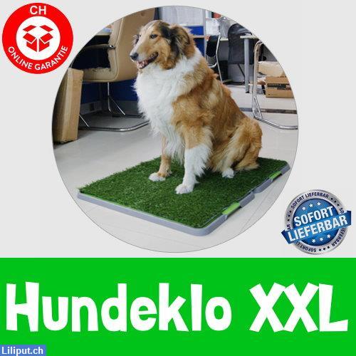 Bild 1: XXL Hunde WC Welpentoilette Hundetoilette Hundeklo Welpen ältere Hunde