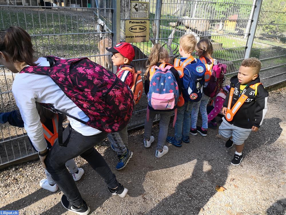 Bild 4: abc- daycare - die zweisprachige Kinderkrippe D/E in Regensdorf ZH