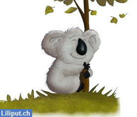 Bild 1: Kinderkrippe Koalabär sucht liebevolle Praktikantin 100%