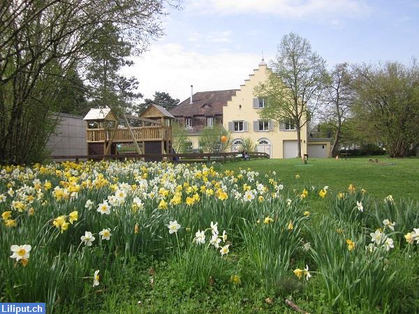 Bild 1: KITA Pumpenhaus in Schaffhausen freut sich über spontane Bewerbungen