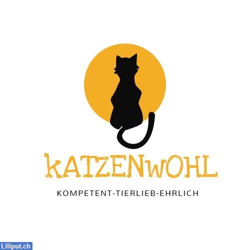 Bild 1: mobile Katzenbetreuung Raum Solothurn und Umgebung / Katzenwohl