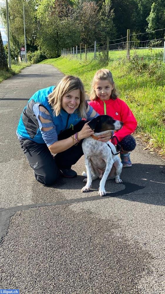 Bild 1: Tierbetreuerin bietet liebevolle Katzen-/Hundebetr.etc im Raum Volketswil