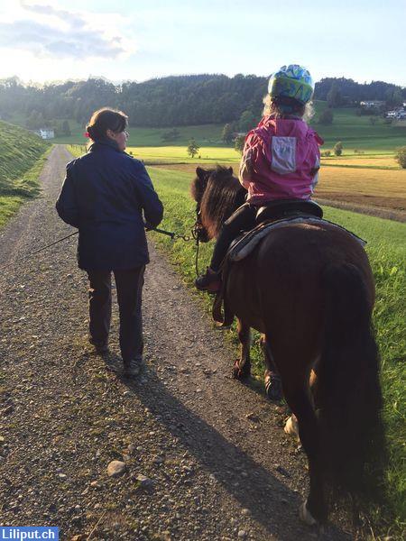 Bild 1: Pony-Reitschule für Kinder ab 3-8 Jahren in Busswil bei Wil SG