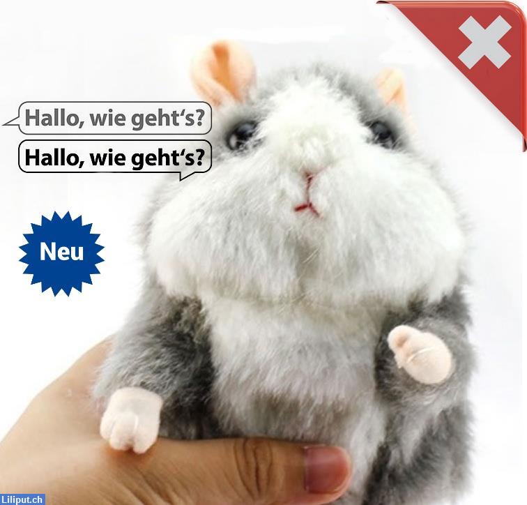Bild 1: Sprechender Hamster, das entzückendes Spielzeug Geschenk für Kinder