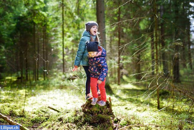 Naturspielgruppe IMMERDUSS hat Betreuungsplätze frei ab Sommer