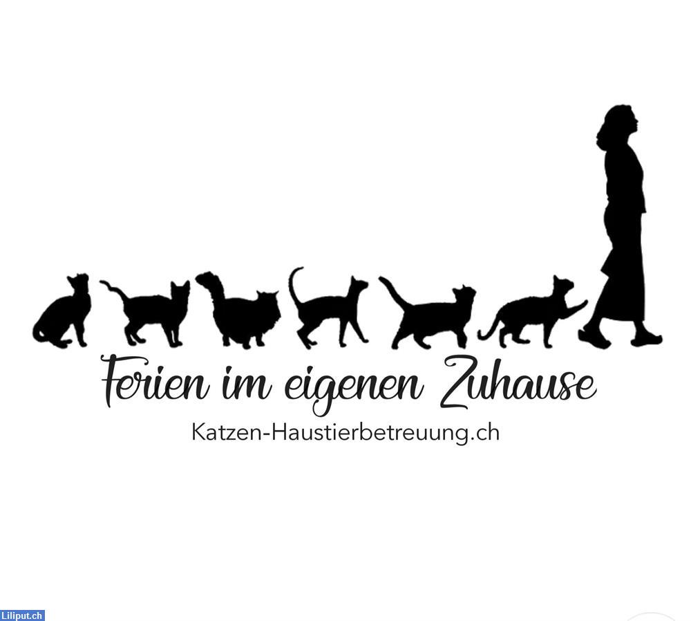 Bild 1: Biete Katzen-Haustierbetreuung : In und um die Stadt Zürich