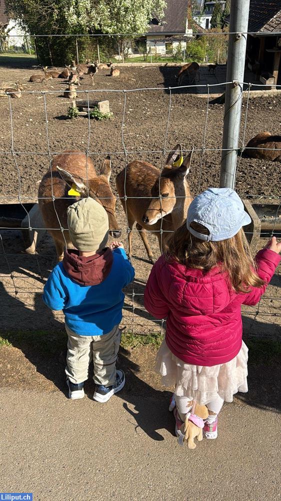 Bild 4: Freie Betreuungsplätze per sofort bei Tagesmutter in Kleinwangen SO