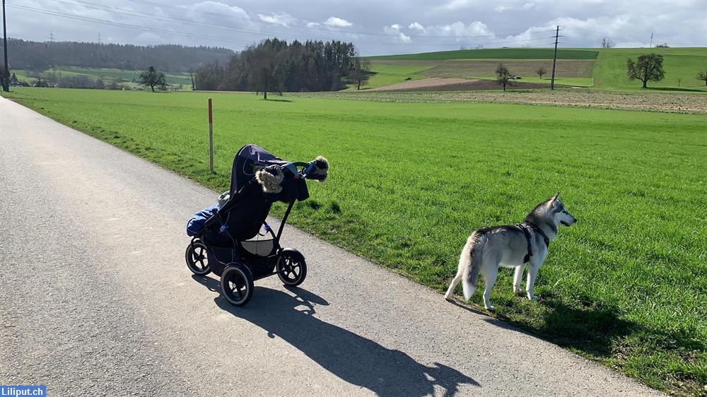 Bild 1: Tagesmami aus Endingen AG hat freie Betreuungsplätze