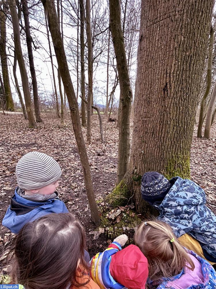 Bild 2: Waldspielgruppe Jangala Lange Erlen, Basel.  Freie Plätze am Do!