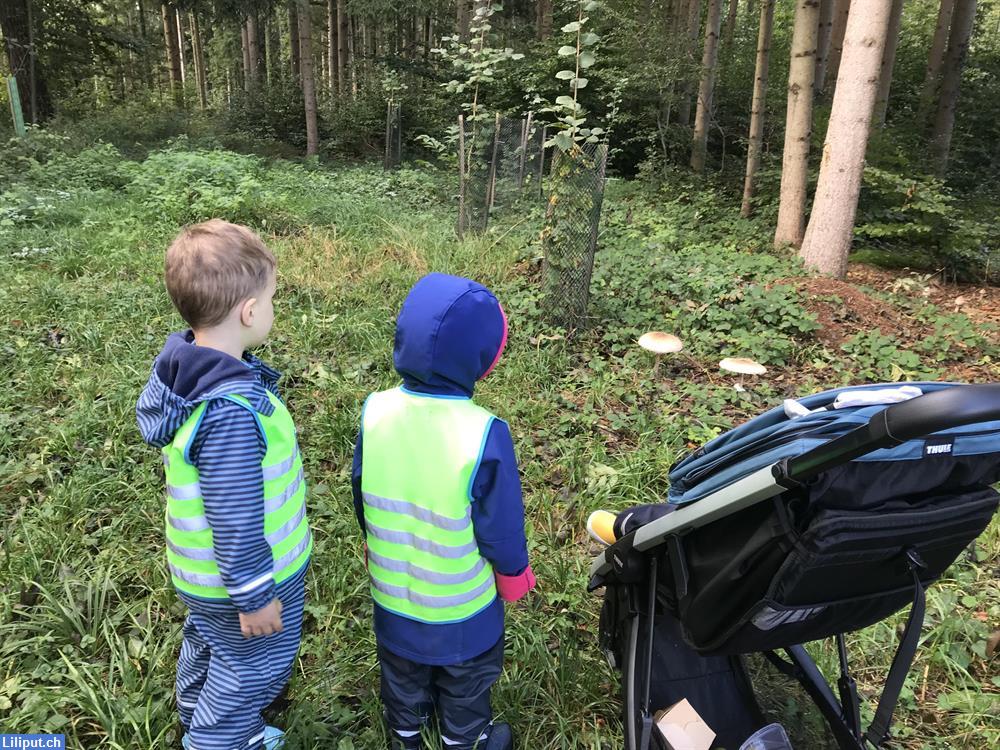 Bild 4: KiBe Flowerli Tagesmami Sylvia in Volketswil ZH