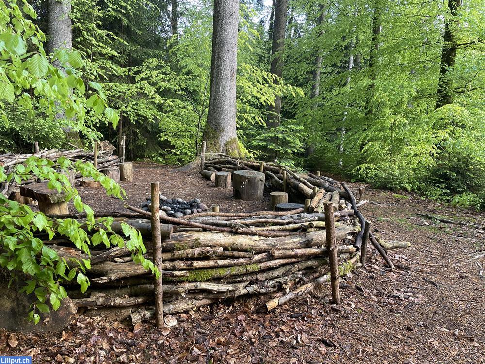 Bild 1: Waldspielgruppe BuntSpächt im Buchholz Wald, Wohlen bei Bern