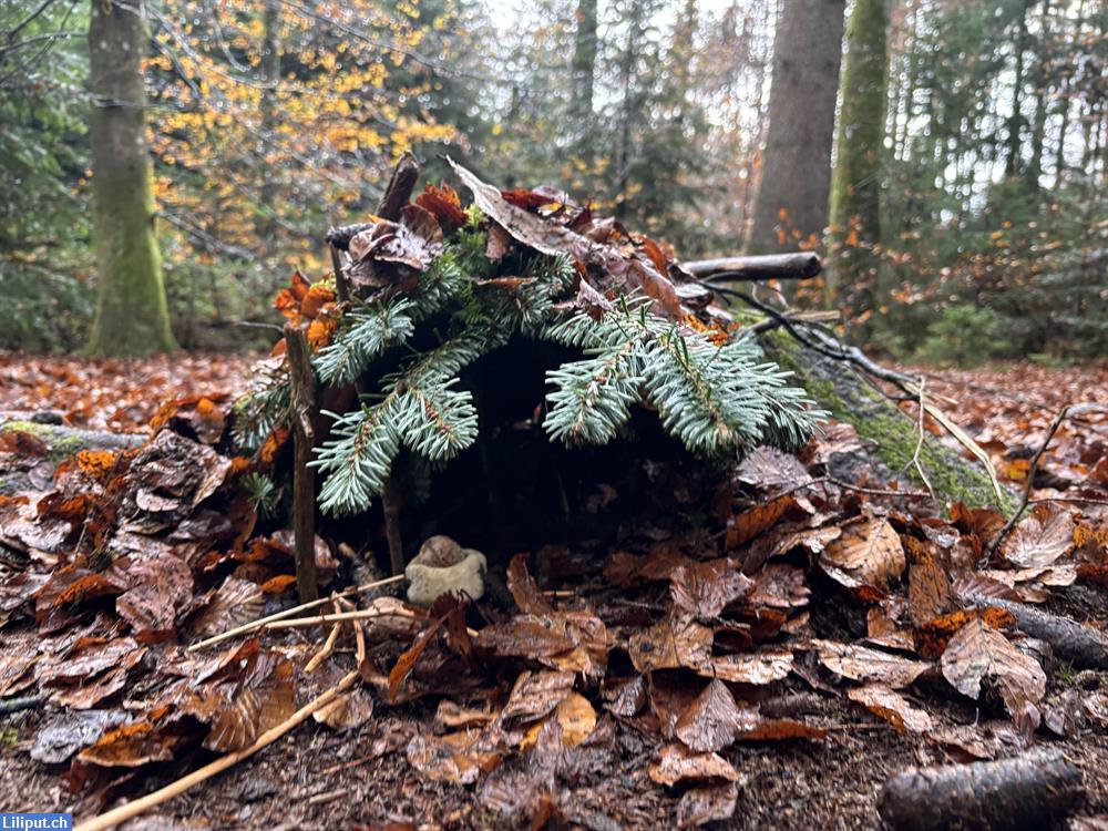 Bild 1: Waldspielgruppe BuntSpächt nähe Bern