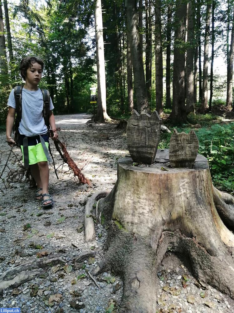 Bild 2: Biete Mittagstisch und Kinderbetreuung, ZH-Oberland