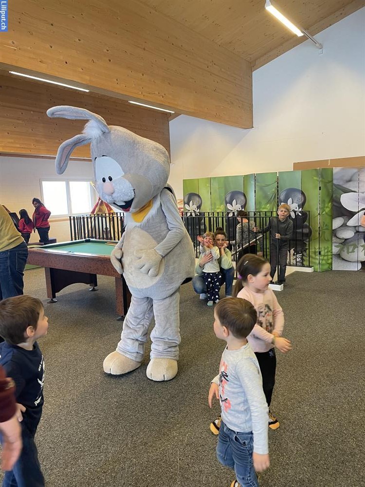 Bild 1: Unsere Maskottchen buchen für ihren Event