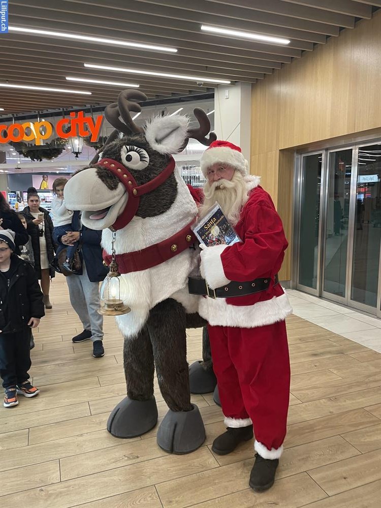 Bild 3: Unsere Maskottchen buchen für ihren Event