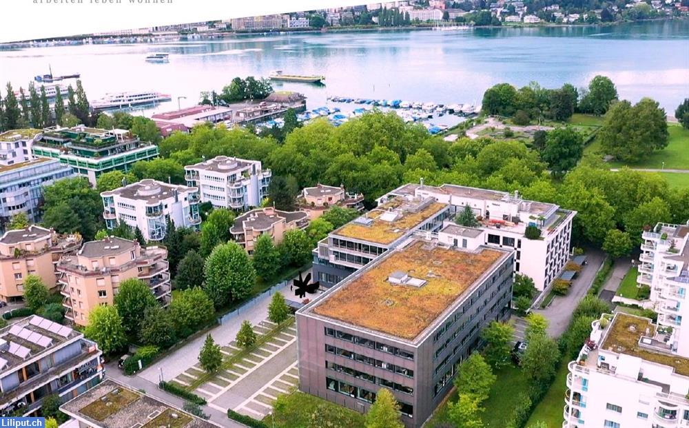 globegarden Alpenquai, Kindertagesstätte in Luzern