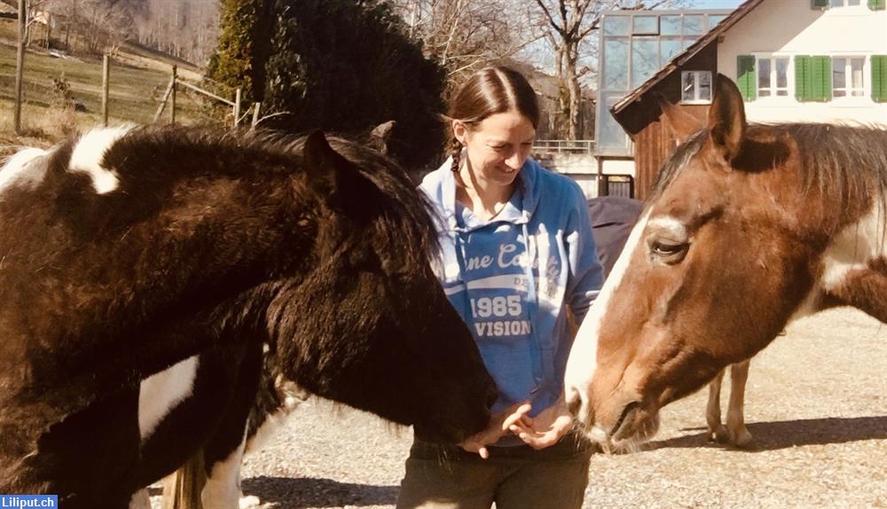 Bild 1: Magischer Nachmittag für Kinder mit Pferden & Natur!