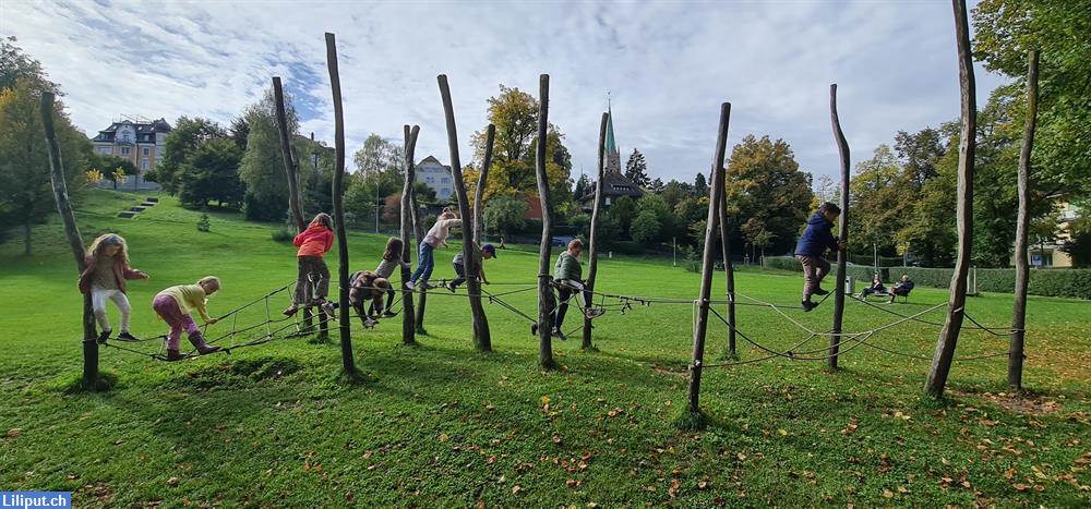 Bild 3: Mindful Tree Education am Kreuzplatz, Zürich bietet freie Plätze