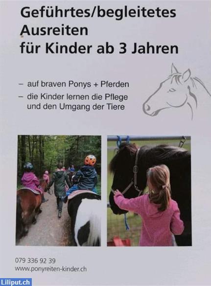 Bild 1: Ponyreiten für Kinder im Zürcher Oberland