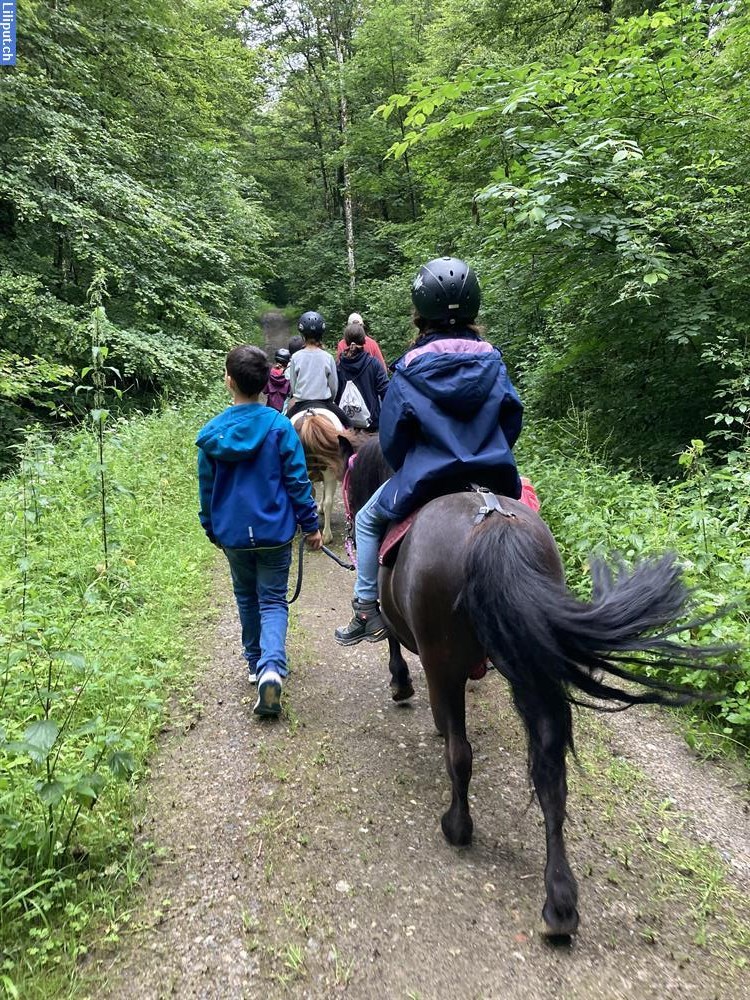 Bild 3: Pony reiten, Kindergeburtstage, Tierli Hofgruppe im Limmattal