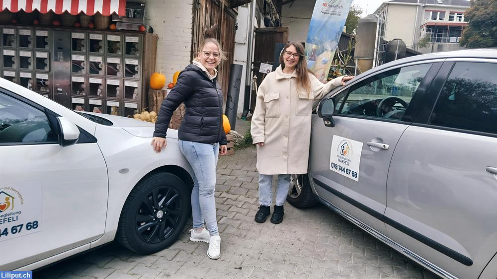 Bild 4: Zuverlässige Unterstützung im Haushalt und unterwegs