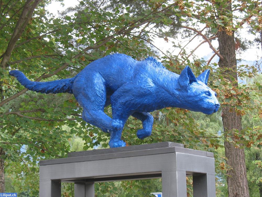 Bild 3: Suche Wander- und Freizeit-Kollegin Region Basel