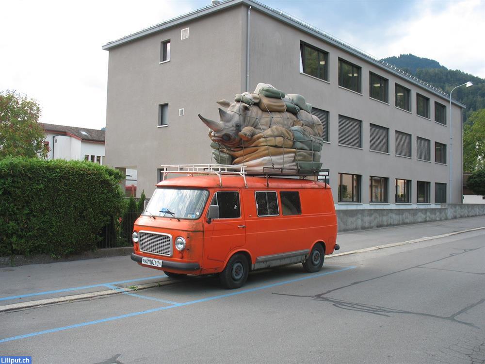 Bild 4: Suche Wander- und Freizeit-Kollegin Region Basel