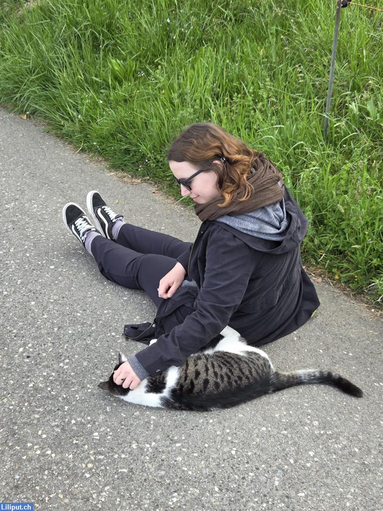 Bild 1: Nanny Stelle gesucht