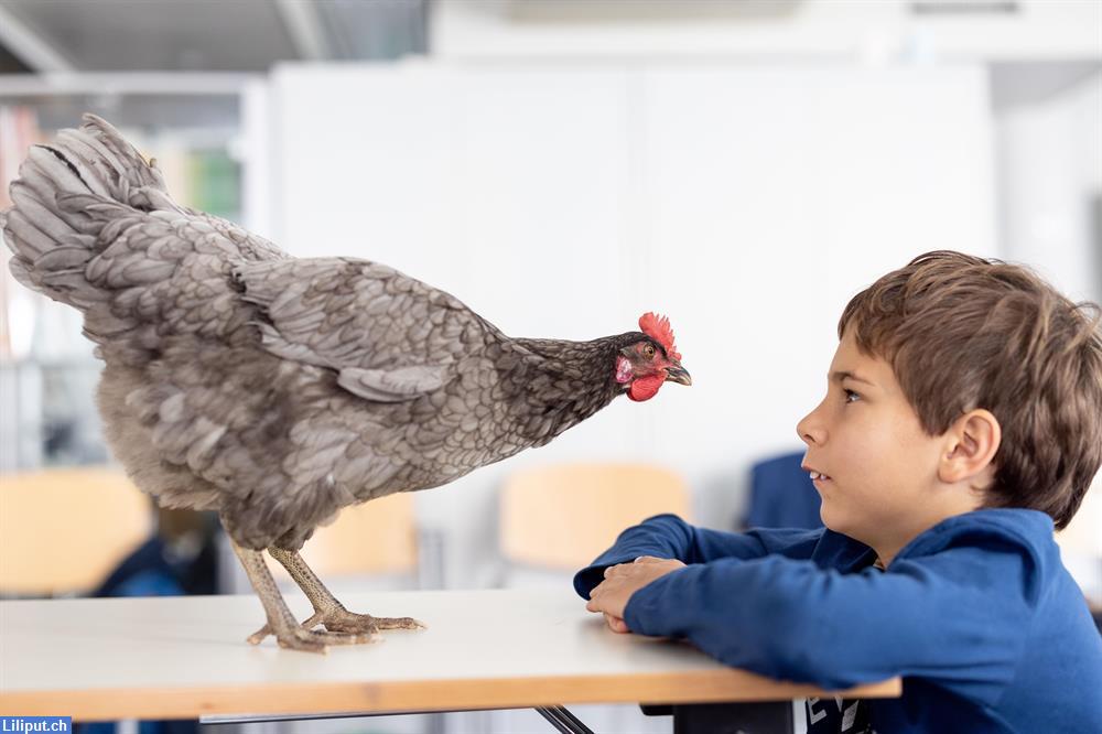 Bild 1: Tiertrainer für einen Tag – Der tierische Kindergeburtstag mit Filmflair!