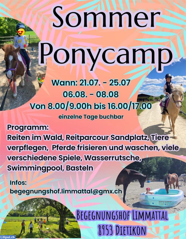 Bild 1: Sommercamp Ponycamp Feriencamp | Begegnungshof Limmattal