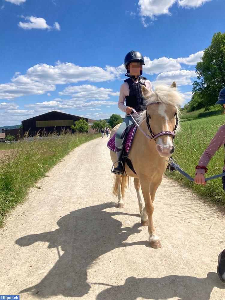 Bild 5: Sommercamp Ponycamp Feriencamp | Begegnungshof Limmattal