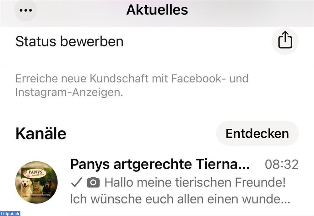 Bild 2: Panys Tiernahrung & Zubehör – 5?% Rabatt, WhatsApp-Kanal kostenlos