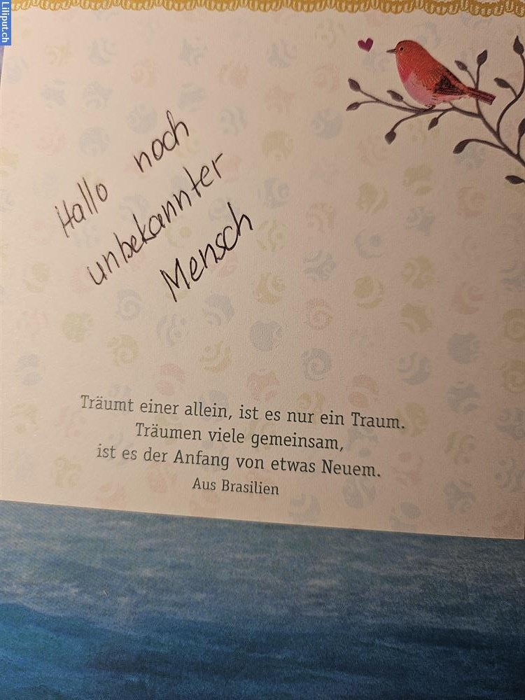 Bild 1: Chat-Austausch über tiefere Lebensfragen
