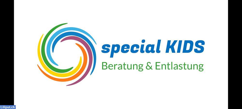 Bild 1: Fachpersonen zur Entlastung auf Stundenbasis