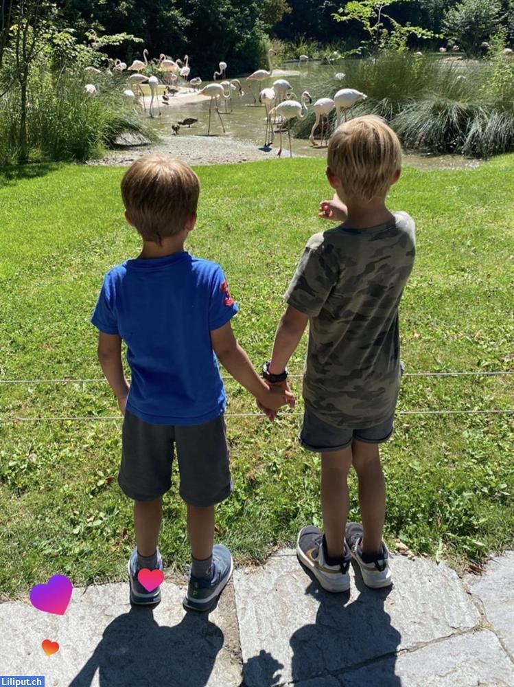 Bild 1: Suchen Wochenend-Nanny für zwei Jungs (9 und 11 Jahre)