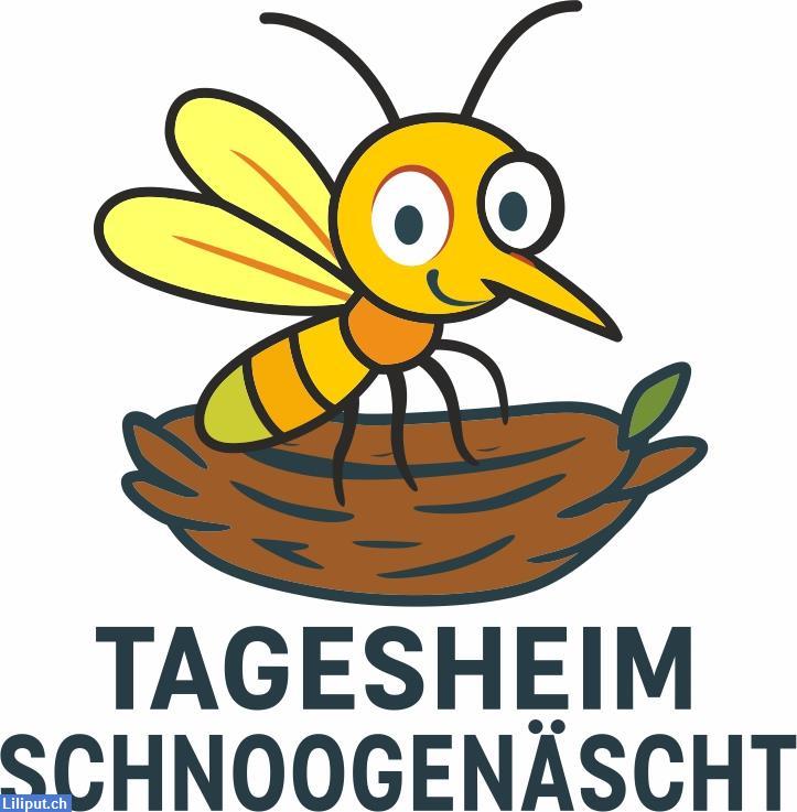 Bild 1: Tagesheim sucht Aushilfe mit Herz mit oder ohne EFZ