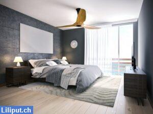 Bild 1: Gratis Wasserbett Kontrolle in Ihrer Region, schweizweit